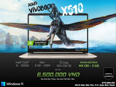 Asus Vivobook X510